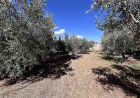 Resale - Country House - Jumilla
