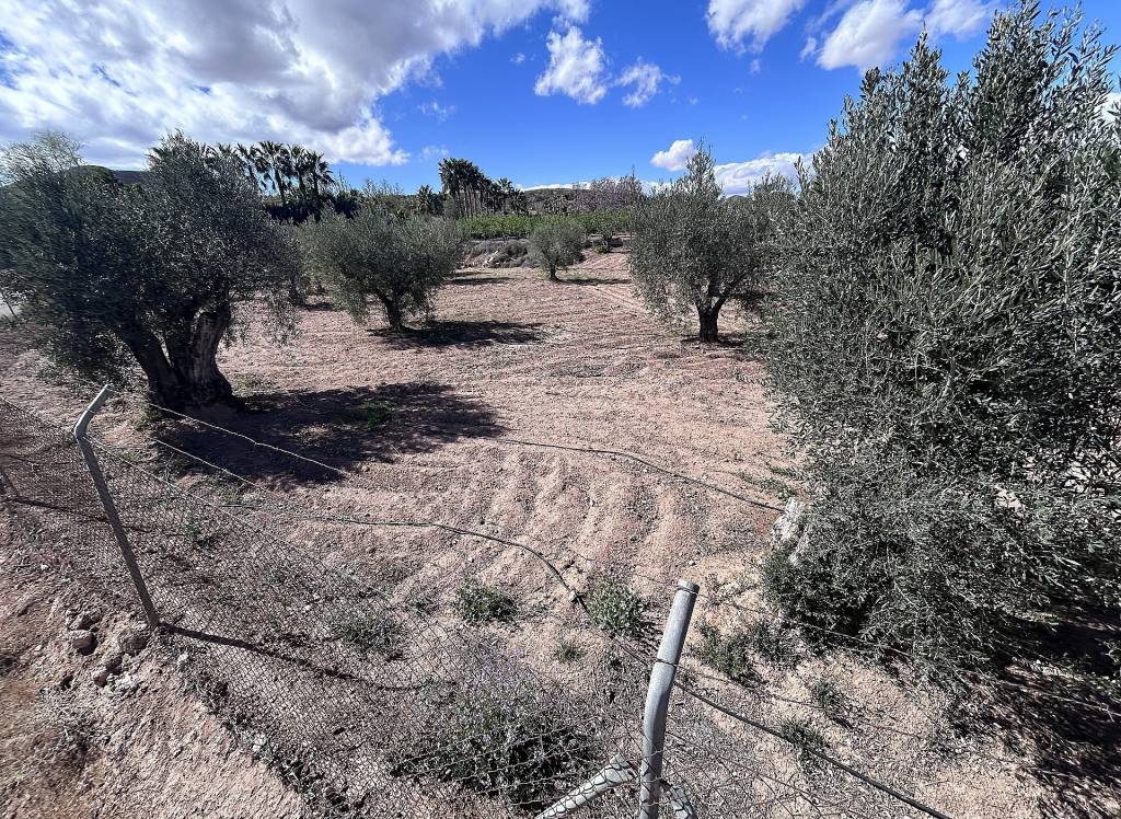 Resale - Country House - Jumilla