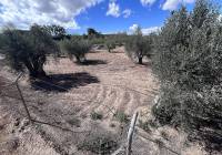 Resale - Country House - Jumilla