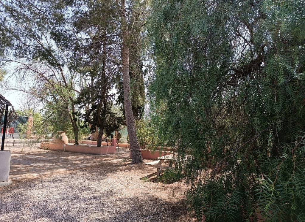 Resale - Country House - Jumilla