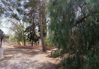 Resale - Country House - Jumilla