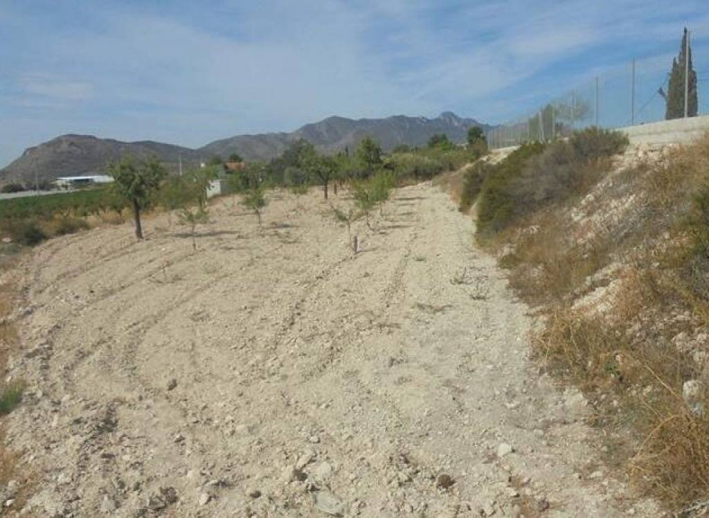 Resale - Country House - La Romana