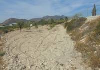 Resale - Country House - La Romana