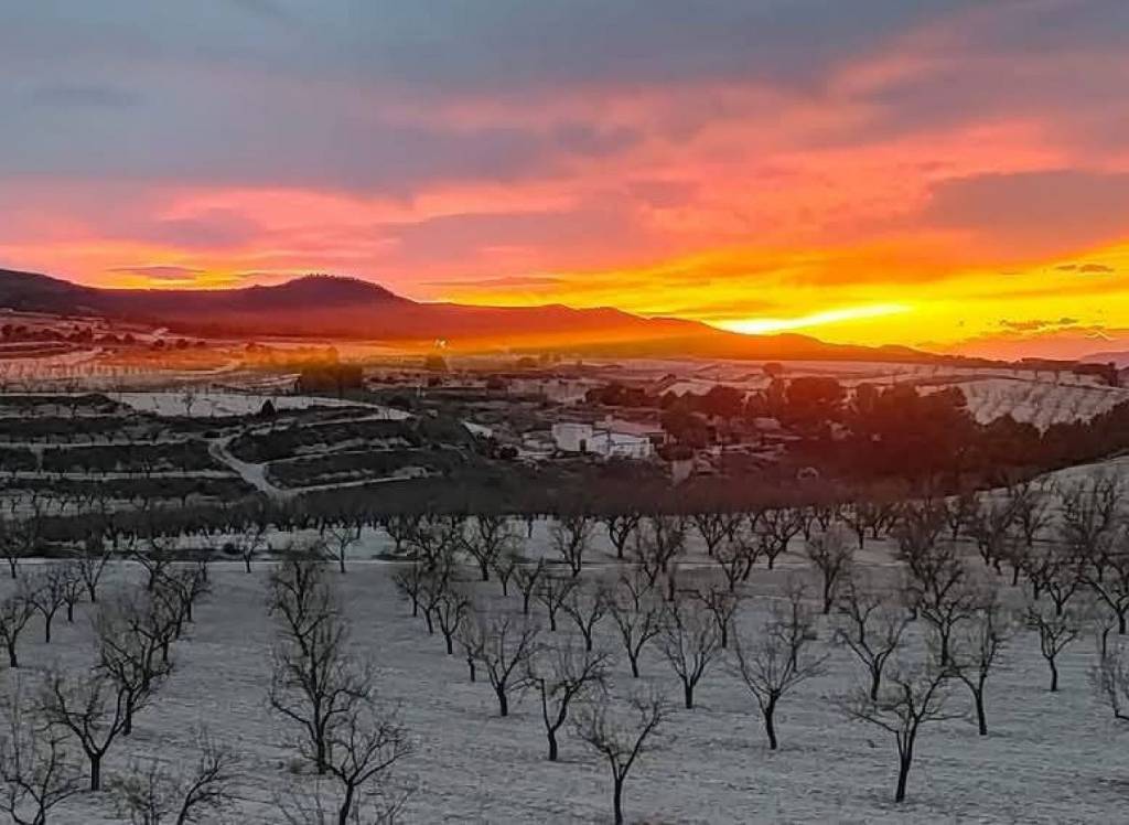 Resale - Country House - La Zarza