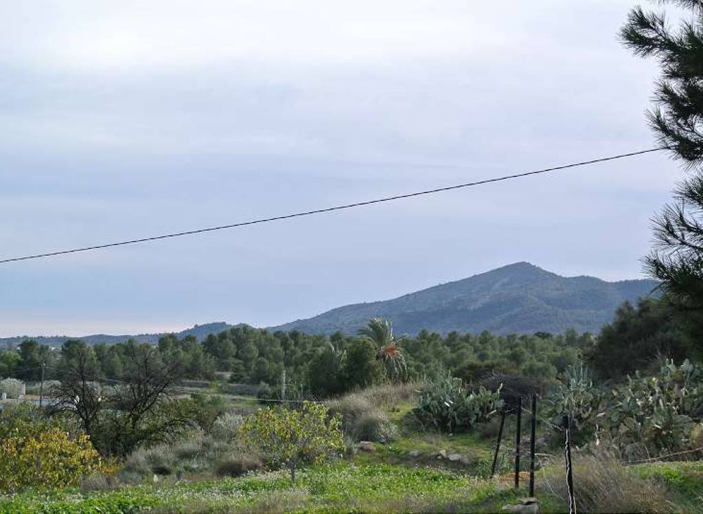 Resale - Country House - Monovar - In hamlet