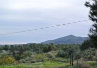 Resale - Country House - Monovar - In hamlet