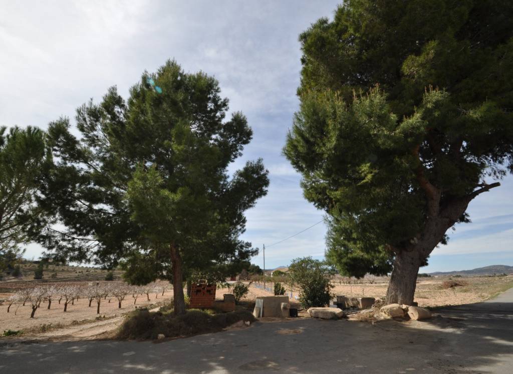 Resale - Country House - Monovar - In hamlet