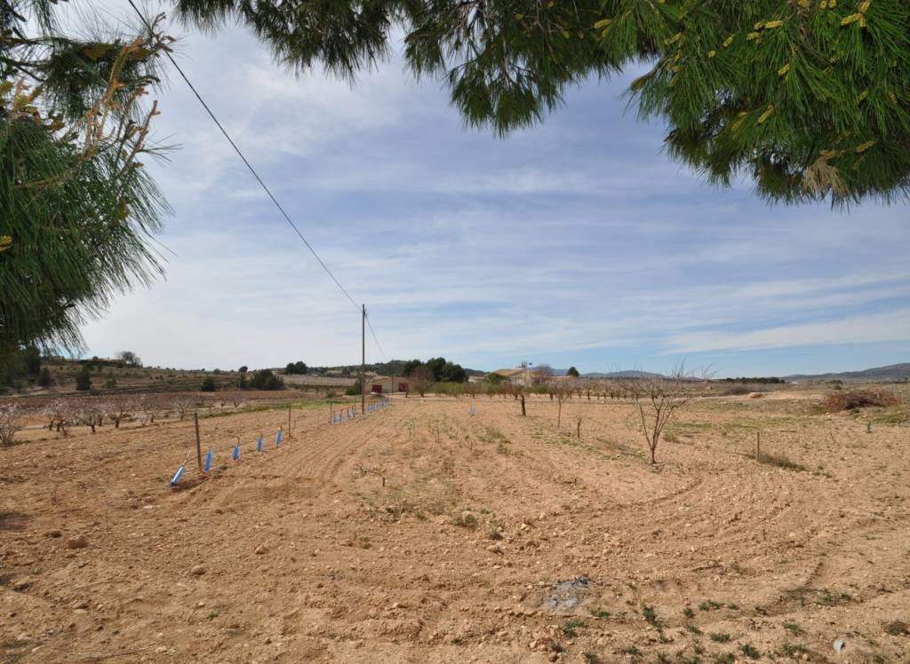 Resale - Country House - Monovar - In hamlet