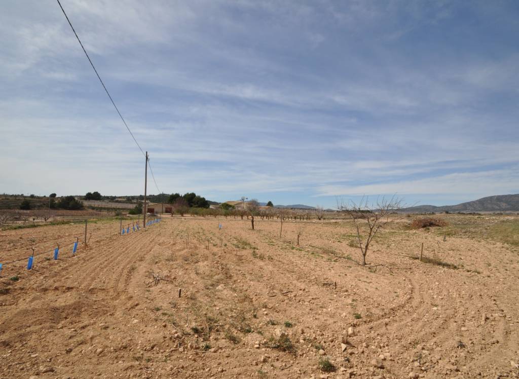 Resale - Country House - Monovar - In hamlet