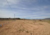 Resale - Country House - Monovar - In hamlet