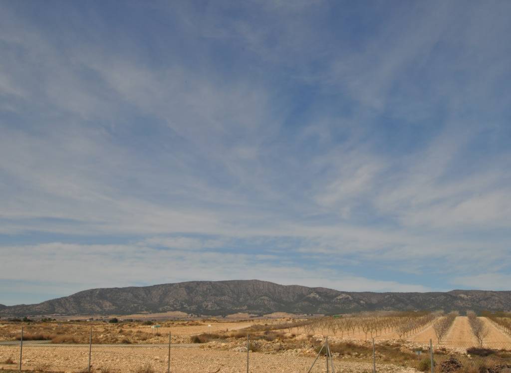 Resale - Country House - Monovar - In hamlet