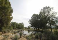 Resale - Country House - Monóvar/Monóver - Rural location