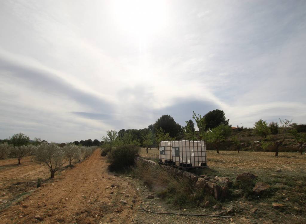 Resale - Country House - Monóvar/Monóver - Rural location