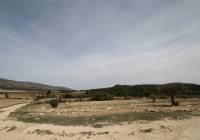 Resale - Country House - Monóvar/Monóver - Rural location