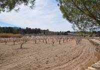 Resale - Country House - Monóvar/Monóver - Rural location