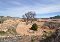 Resale - Country House - Monóvar/Monóver - Rural location