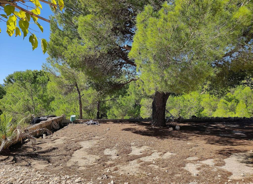 Resale - Country House - Monovar