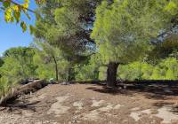 Resale - Country House - Monovar