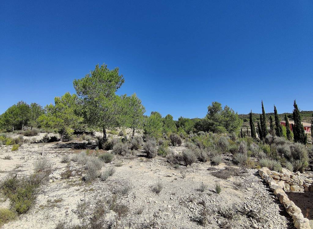 Resale - Country House - Monovar