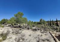 Resale - Country House - Monovar