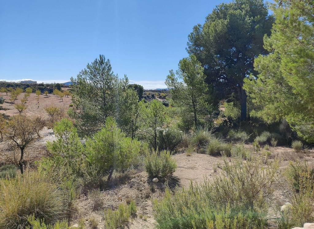 Resale - Country House - Monovar