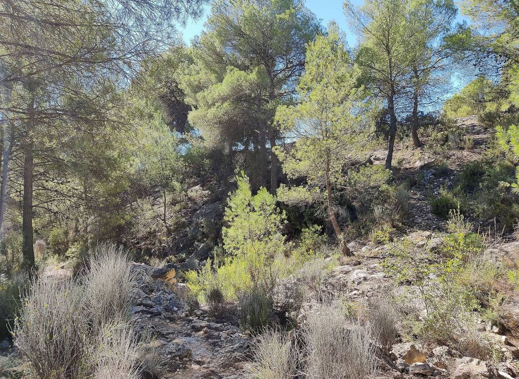 Resale - Country House - Monovar