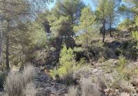 Resale - Country House - Monovar