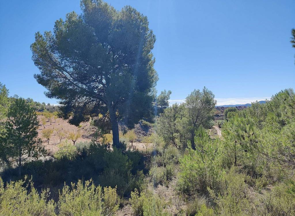 Resale - Country House - Monovar