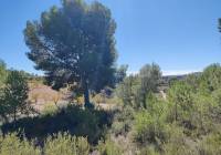 Resale - Country House - Monovar