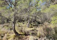 Resale - Country House - Monovar