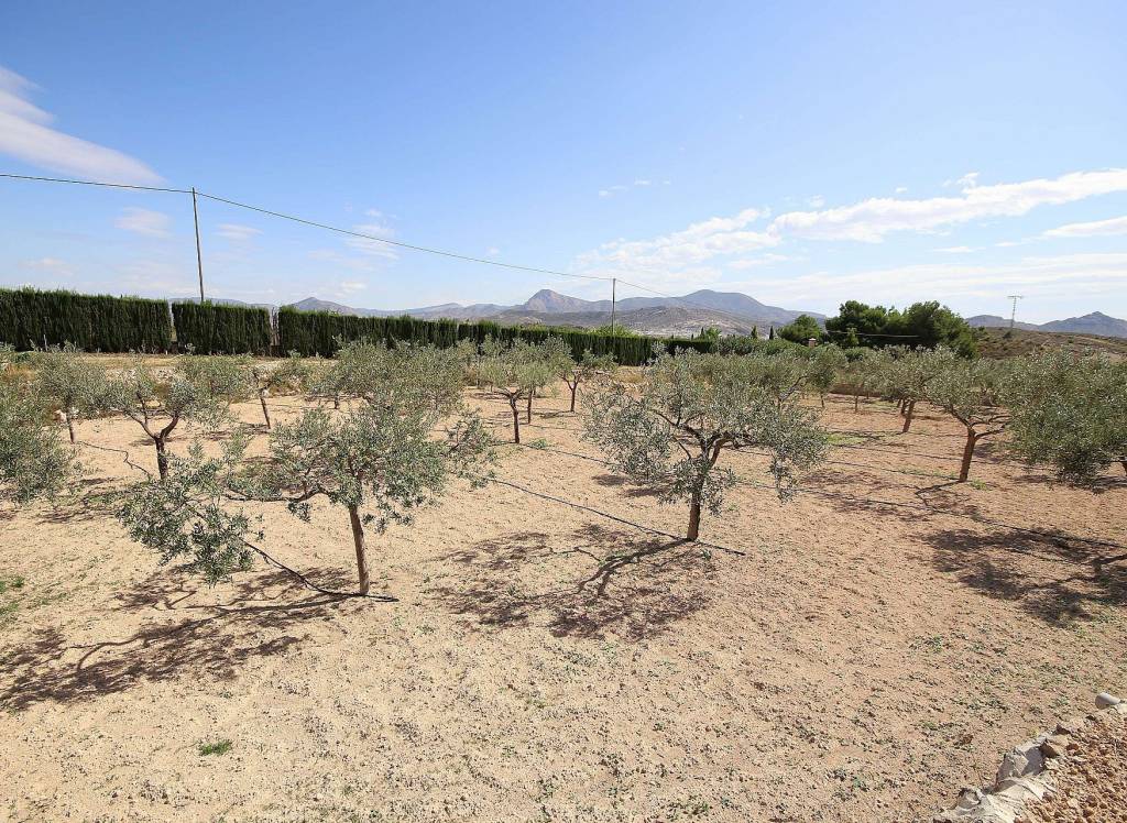 Resale - Country House - Monovar