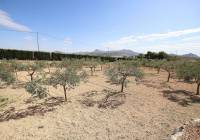 Resale - Country House - Monovar