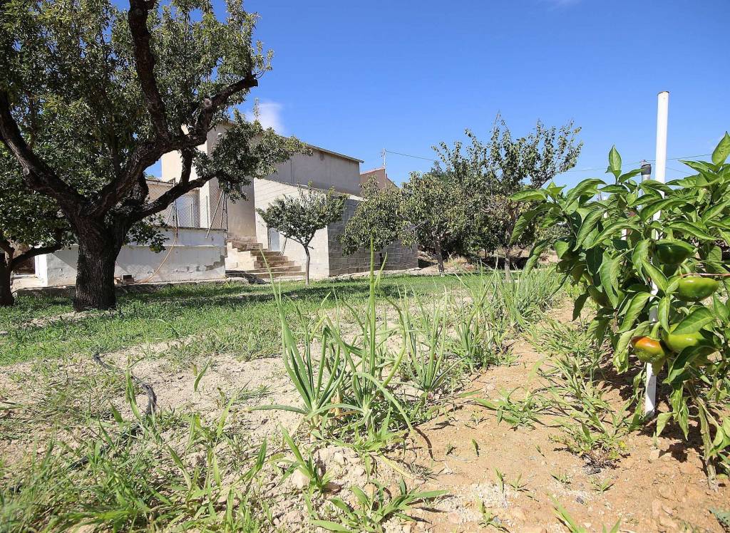 Resale - Country House - Monovar
