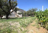 Resale - Country House - Monovar