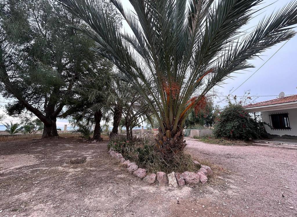 Resale - Country House - Novelda