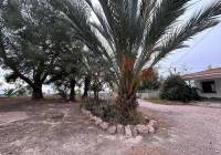 Resale - Country House - Novelda