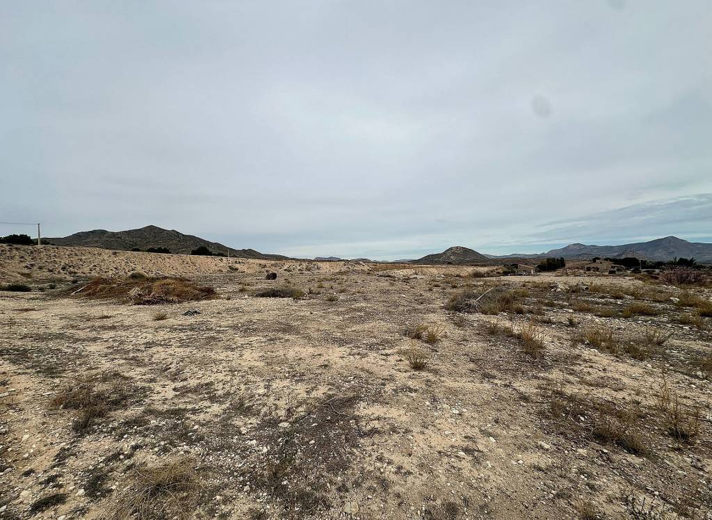 Resale - Country House - Novelda