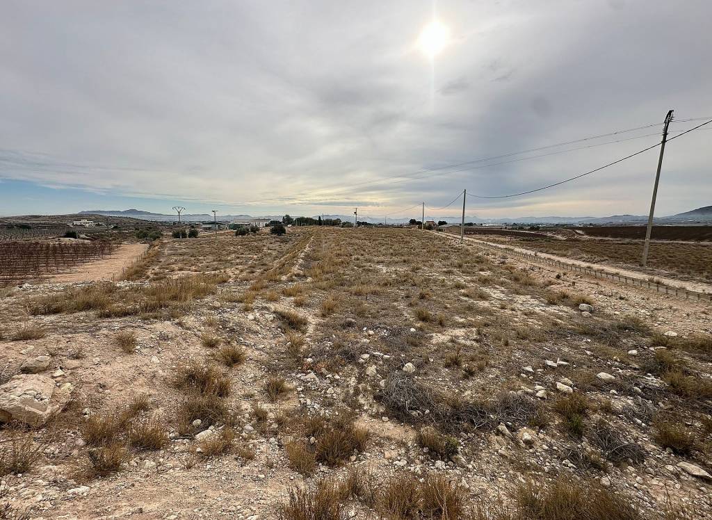 Resale - Country House - Novelda