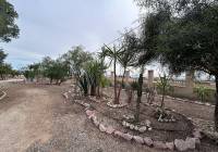 Resale - Country House - Novelda