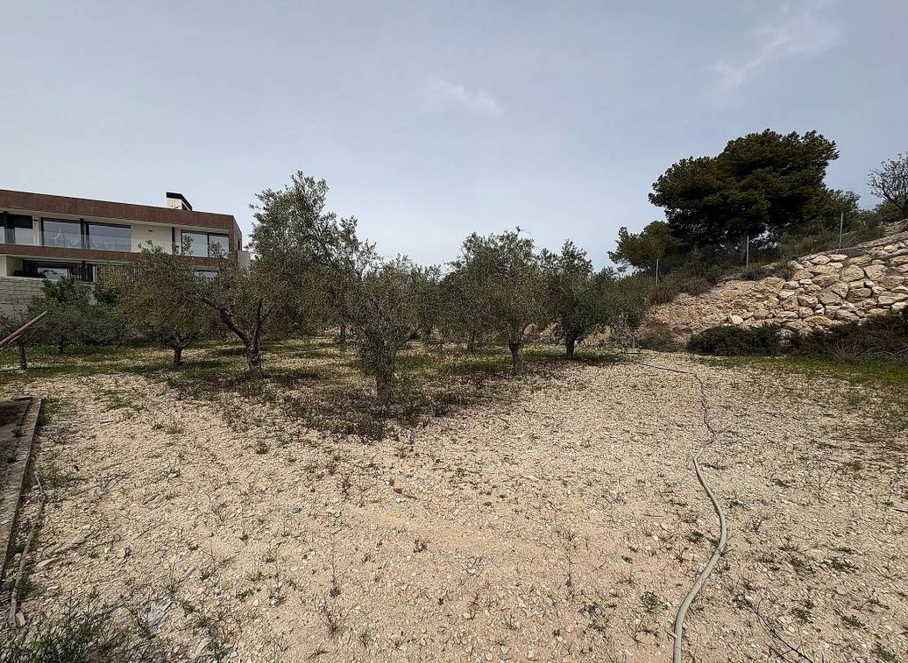 Resale - Country House - Petrer