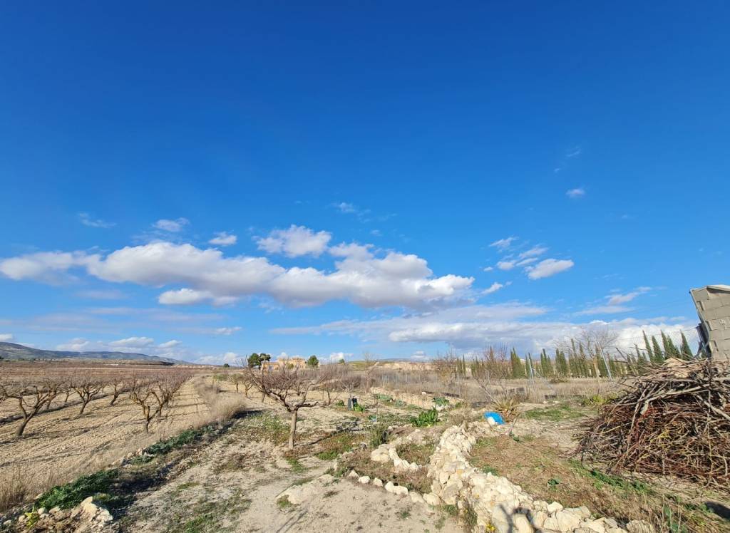 Resale - Country House - Pinoso - Edge of town