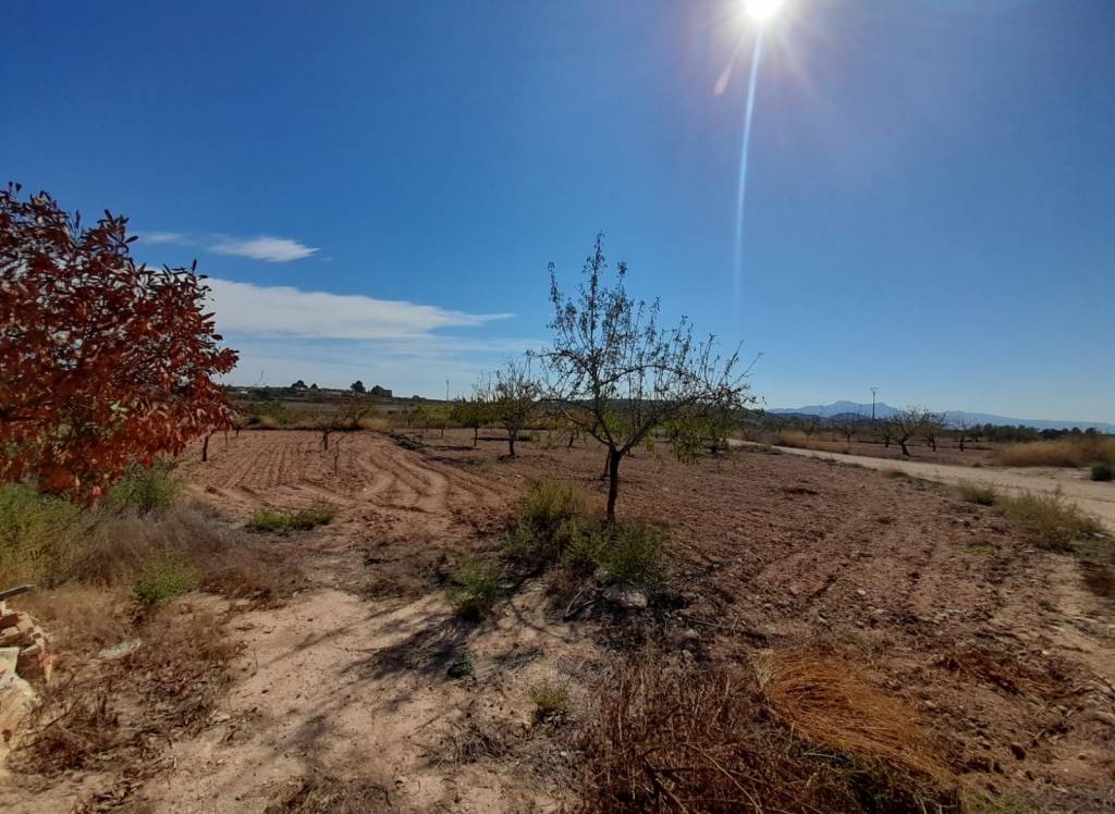 Resale - Country House - Pinoso - Edge of town