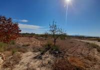 Resale - Country House - Pinoso - Edge of town