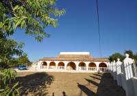 Resale - Country House - Pinoso - Edge of town