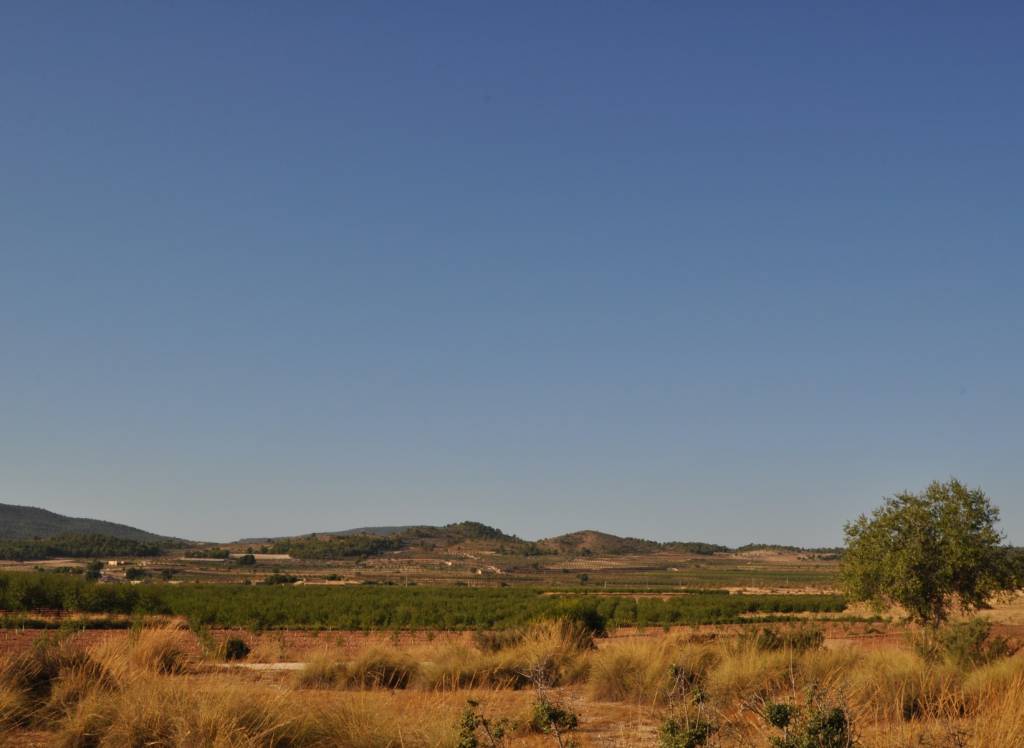 Resale - Country House - Pinoso - Edge of town