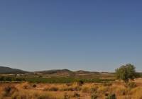 Resale - Country House - Pinoso - Edge of town