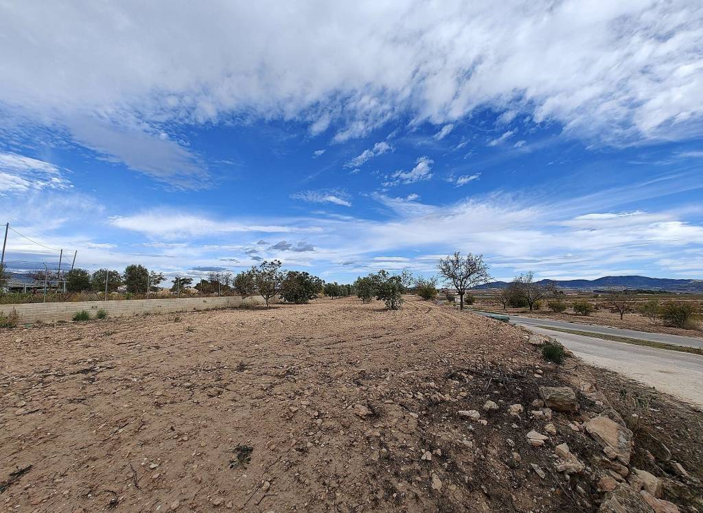 Resale - Country House - Pinoso