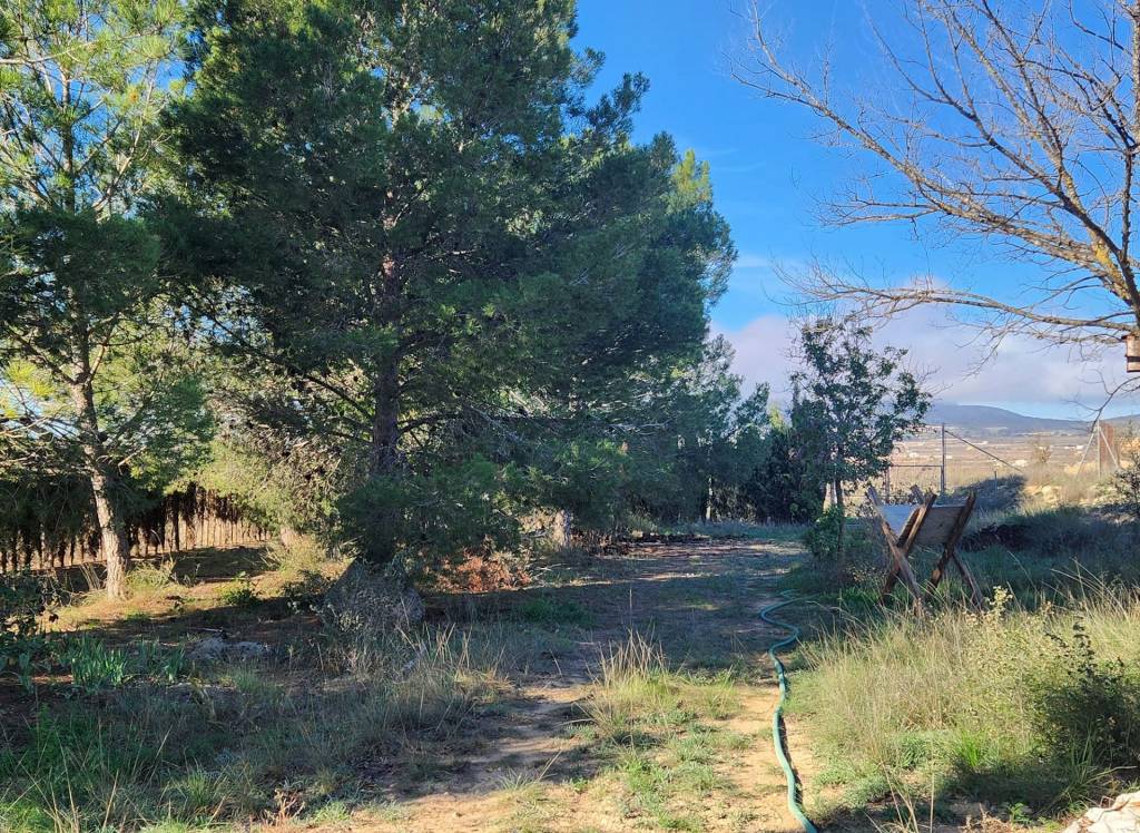 Resale - Country House - Pinoso