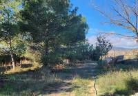 Resale - Country House - Pinoso