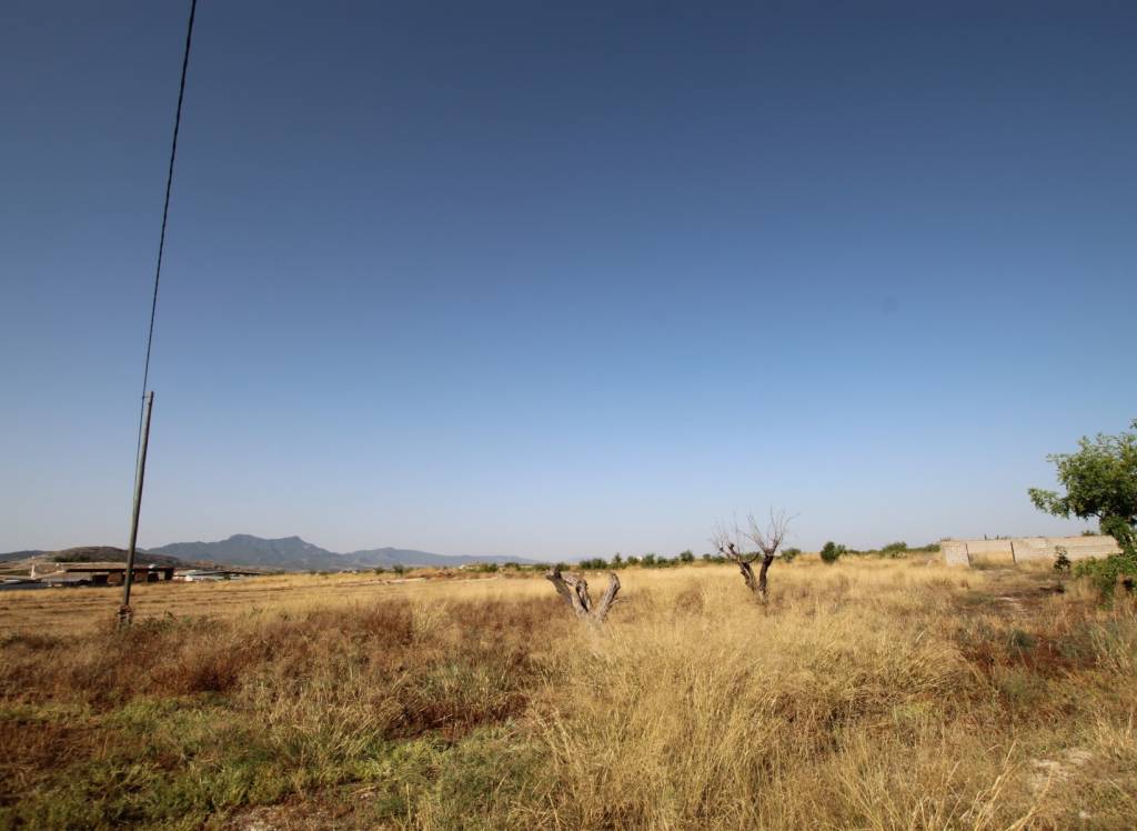 Resale - Country House - Torre Del Rico - Rural location